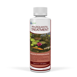 Aquascape Praziquantel Treatment (Liquid) - 8 oz / 236 ml